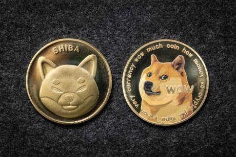 Shiba Inu Falls Below $0.00002631 As Bears Dominate The Market, Time To Buy?