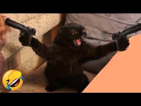 Funniest Animals 😄 New Funny Cats and Dogs Videos 😹🐶 – Ep.18