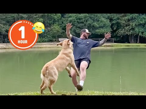 FUNNIEST Pets of 2024…So Far 😂 | BEST Compilation
