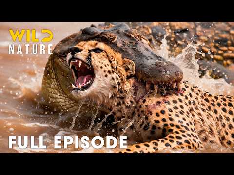 African Savannah | Greatest Fights In The Animal Kingdom (Full Episode) | Wildlife Documentary
