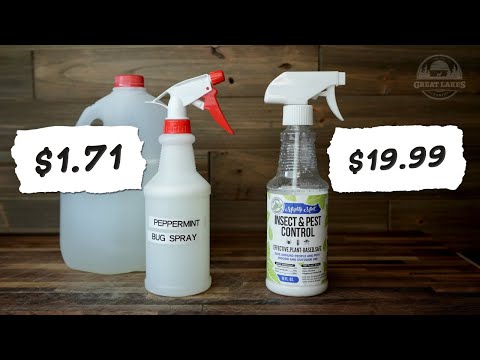 DIY Peppermint Bug Repellent Spray – Homemade Essential Oil Insect Control