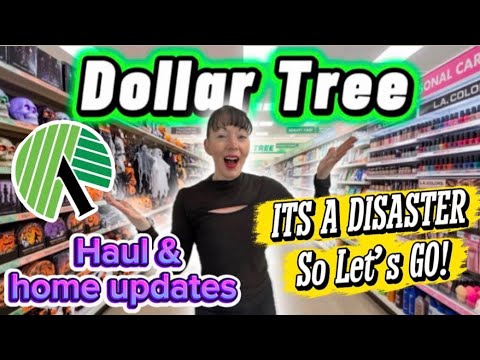 Dollar Tree Car Haul + The CRAZY reason our remodel stopped‼️… 👀🚗🌳