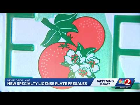 New Florida laws taking effect Oct. 1: What to know